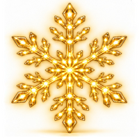 Gold（6 pcs）